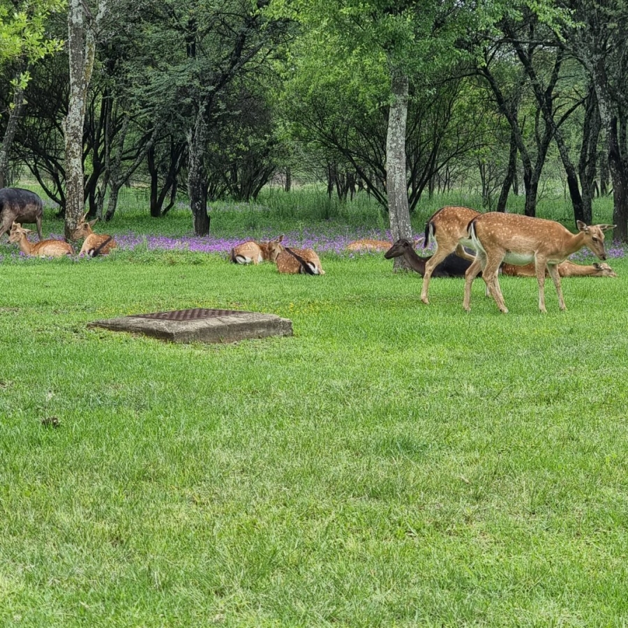 5 Bedroom Property for Sale in River Lodge Estate Free State